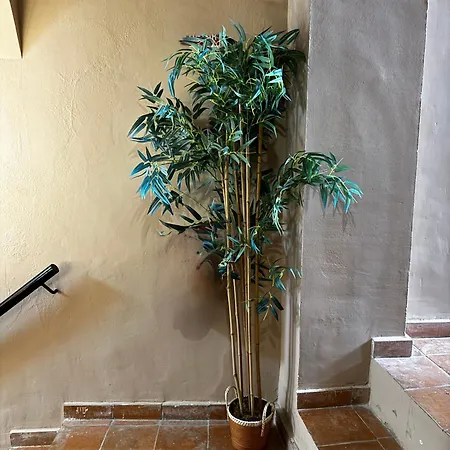 Torre Ochavada By Kubik Apartamento Caces